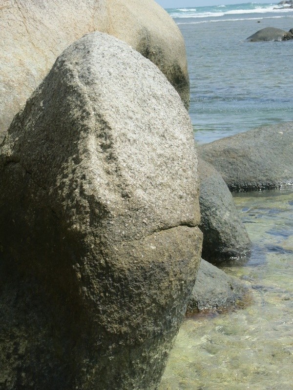 Conservation Surveys 40