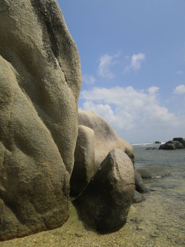Conservation Surveys 41