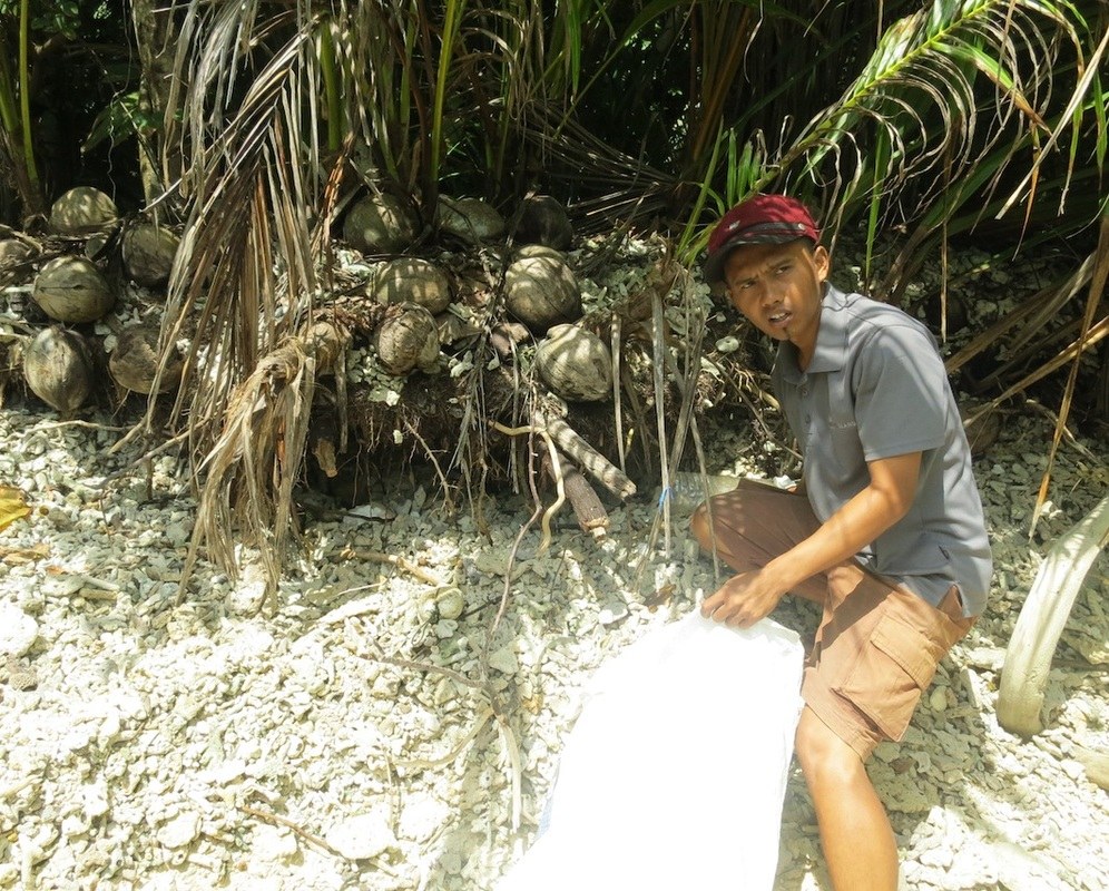 Conservation Surveys 60