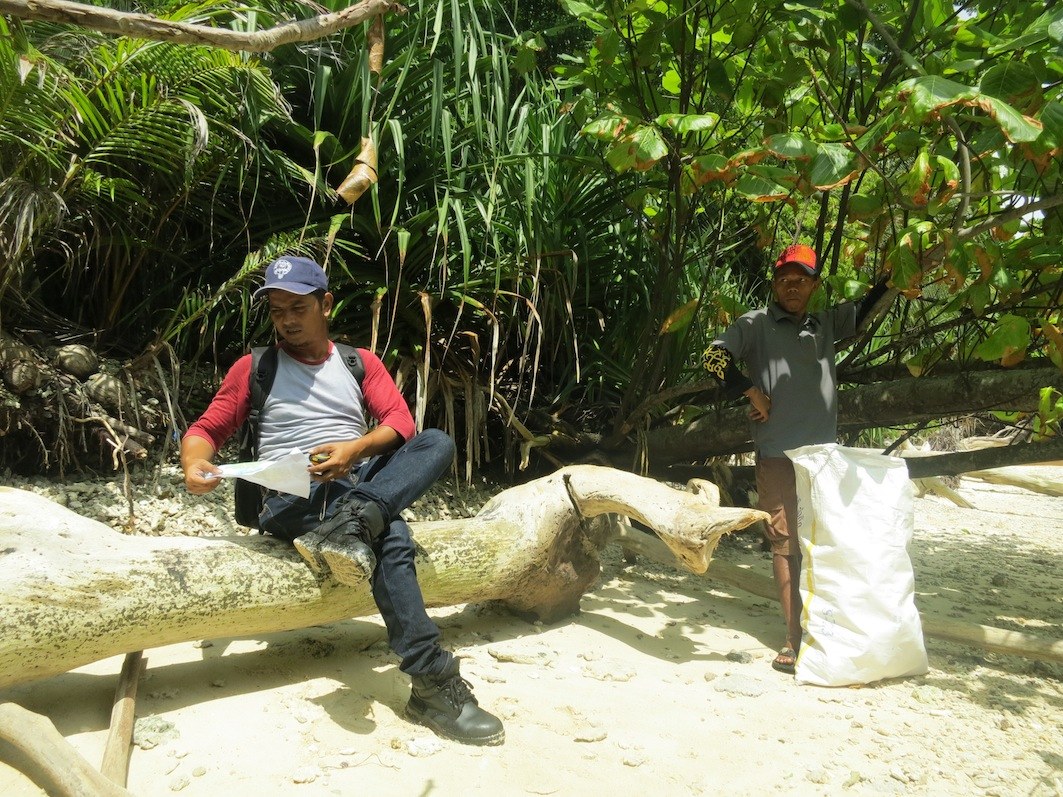 Conservation Surveys 61