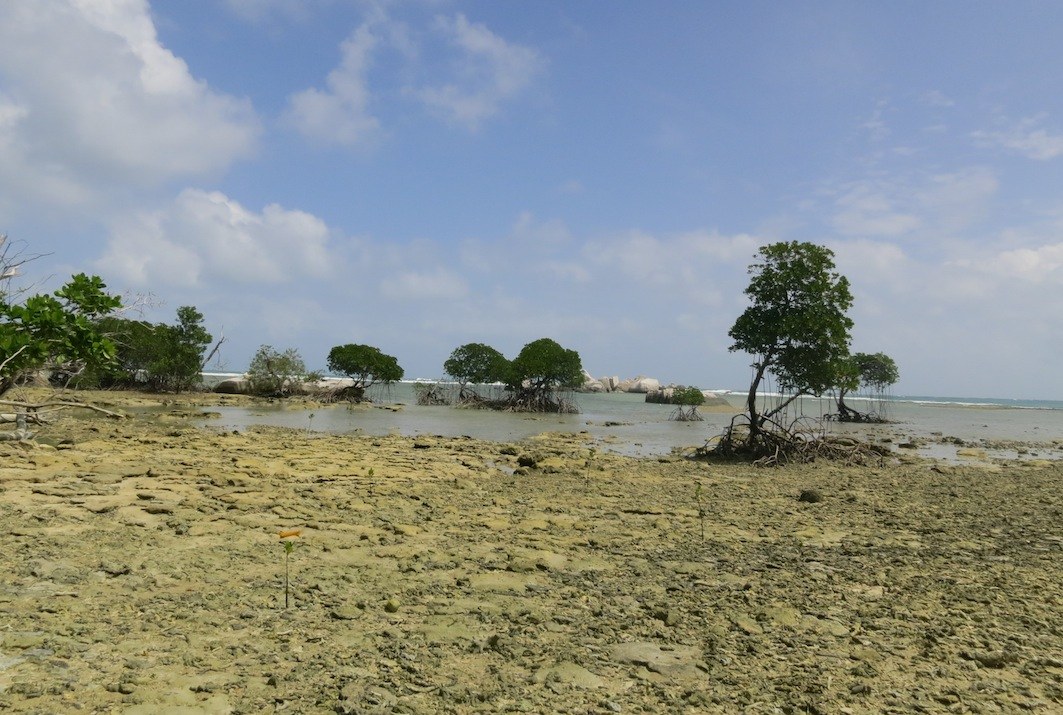 Conservation Surveys 64
