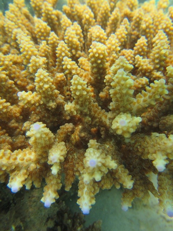 Conservation Surveys 84