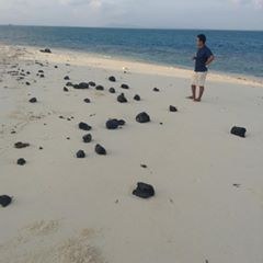 Conservation Surveys 111