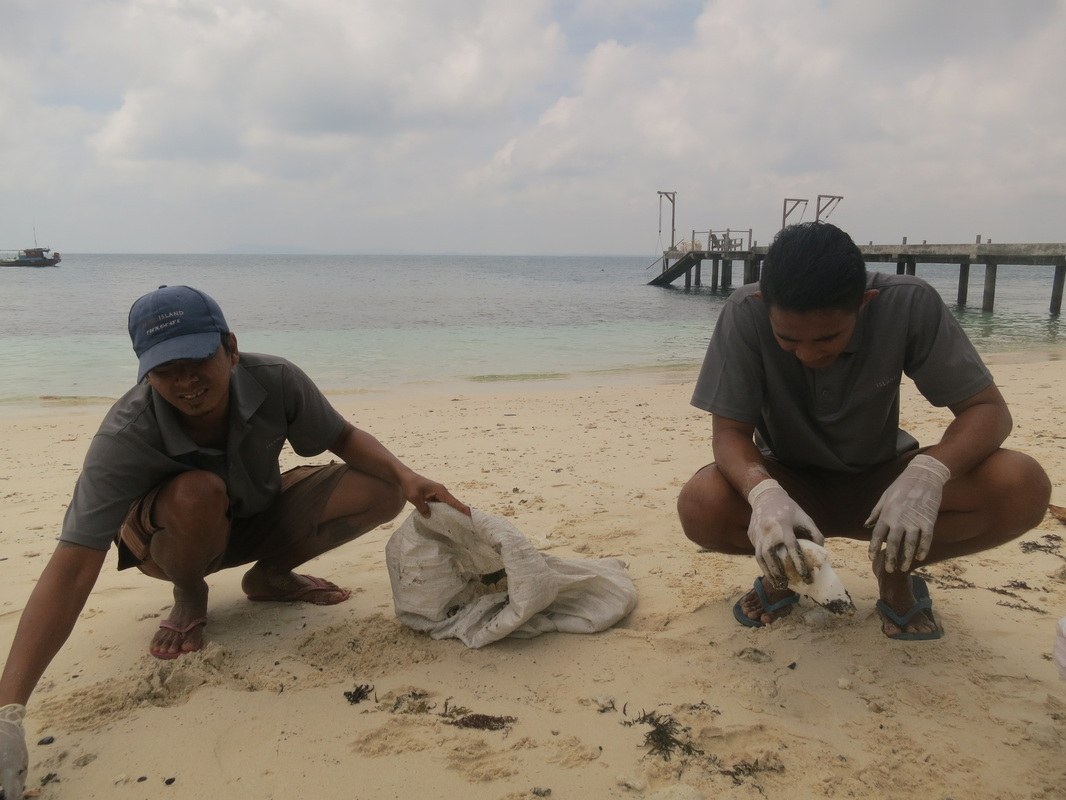 Conservation Surveys 117