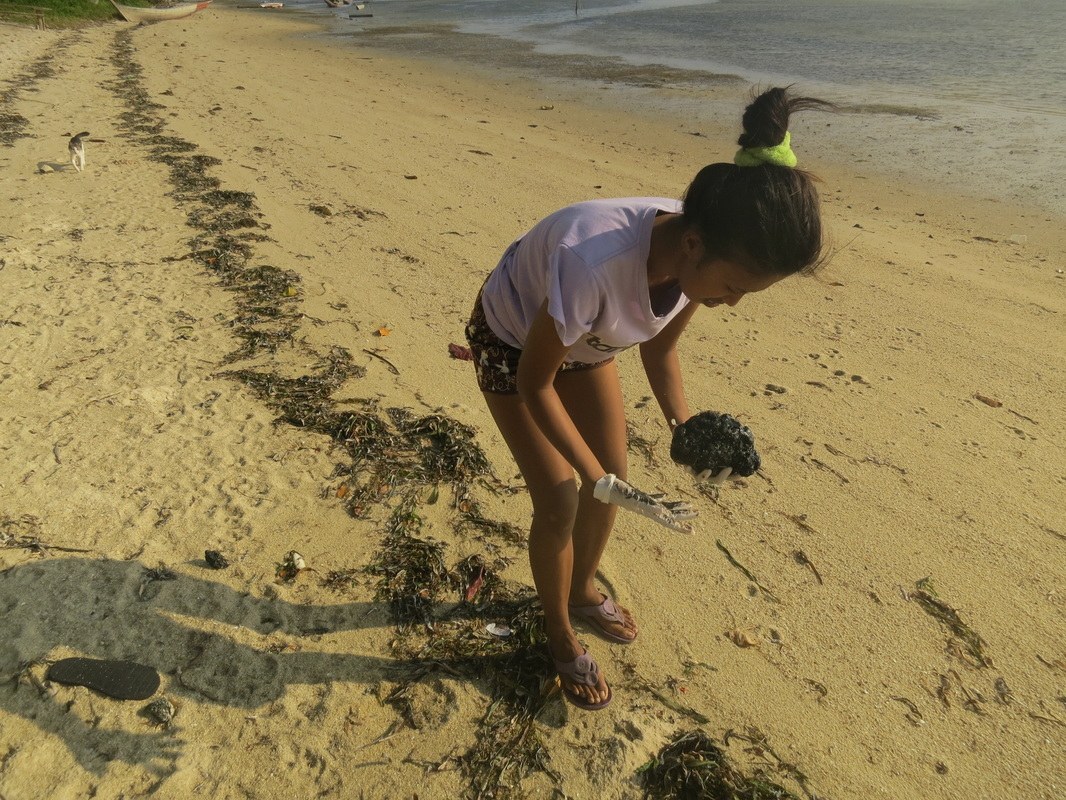 Conservation Surveys 123