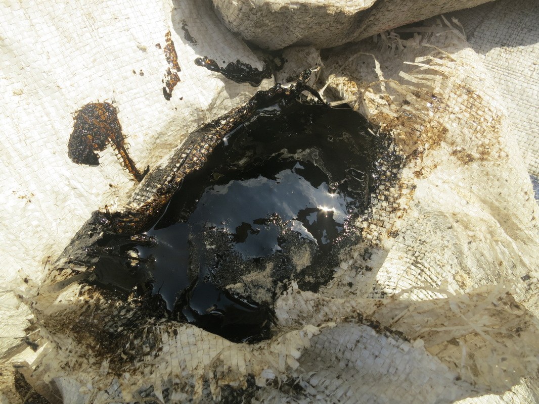 Conservation Surveys 125