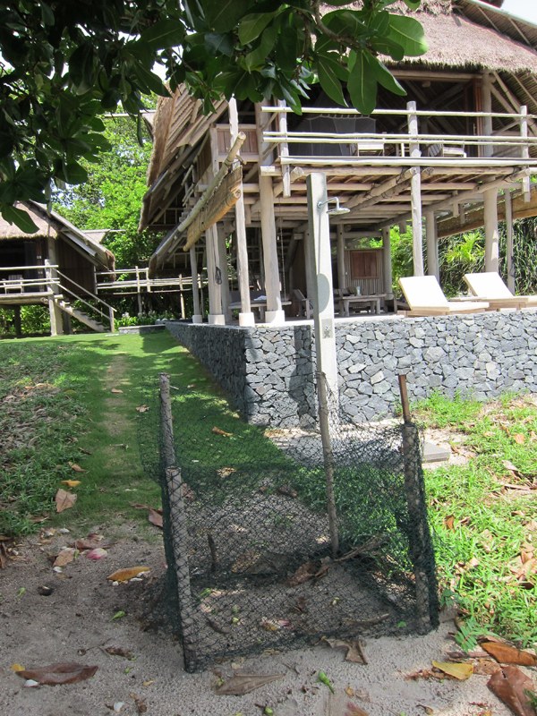 Conservation Surveys 141