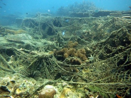 left over net after 2 years