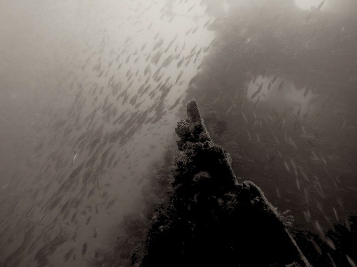 Dive Sites & Wrecks 16