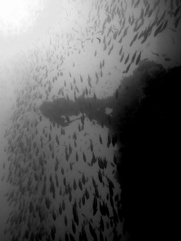 Dive Sites & Wrecks 17