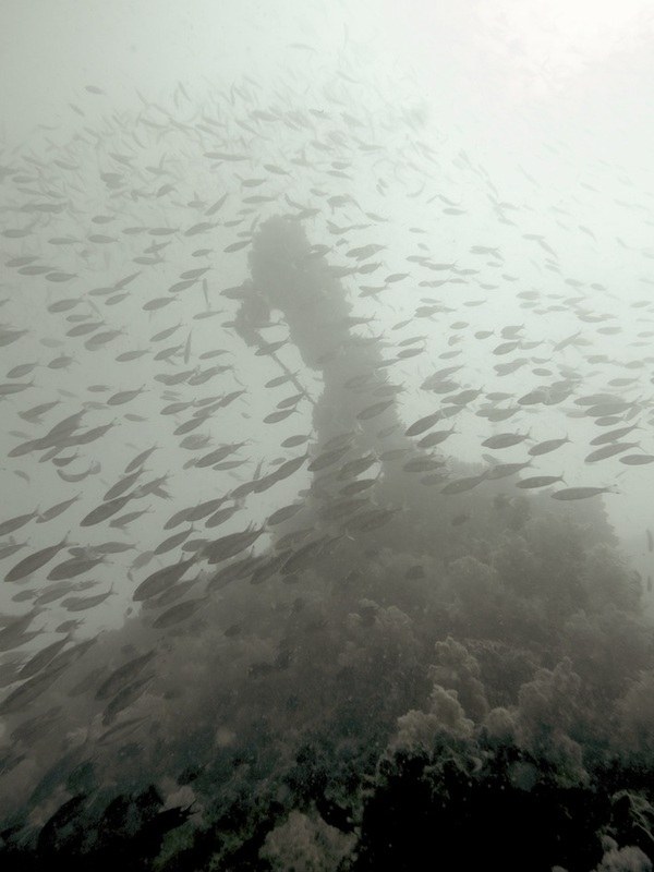 Dive Sites & Wrecks 18