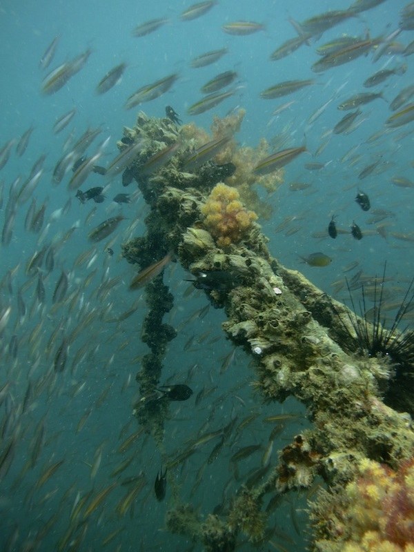 Dive Sites & Wrecks 20