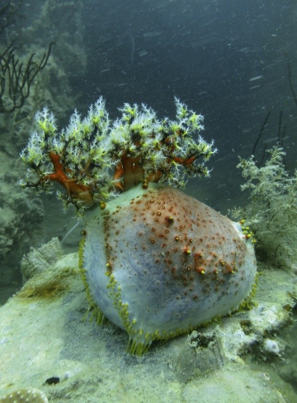 Dive Sites & Wrecks 22
