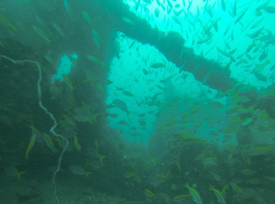 Dive Sites & Wrecks 23