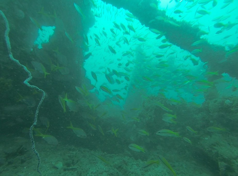 Dive Sites & Wrecks 24