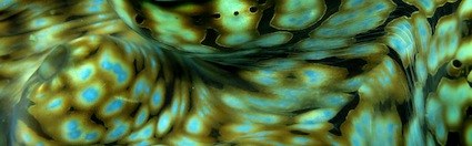 Dive Sites & Wrecks 30