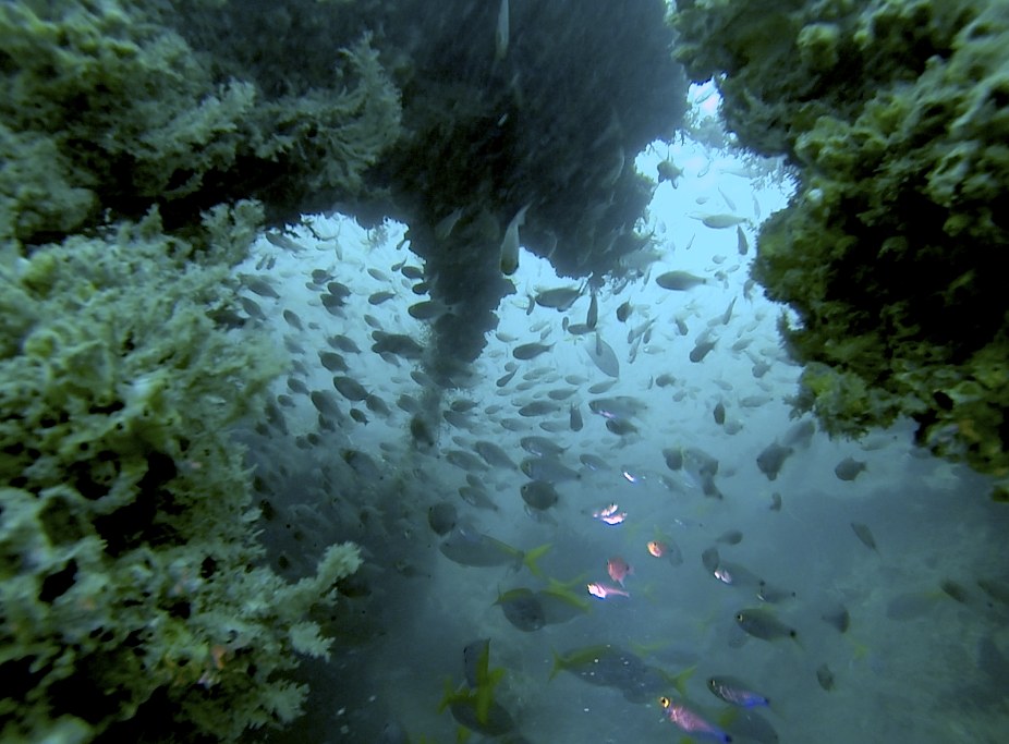 Dive Sites & Wrecks 37