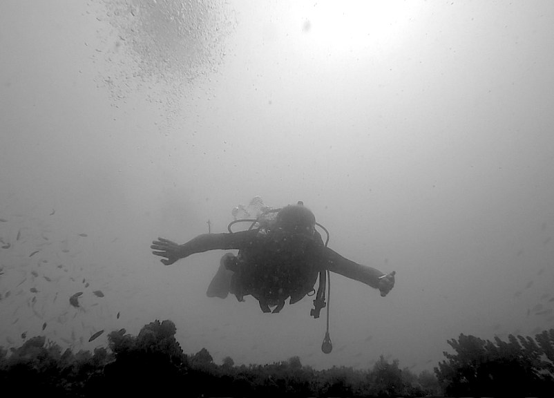 Dive Sites & Wrecks 38