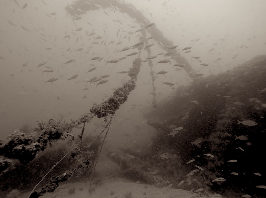 Dive Sites & Wrecks 39