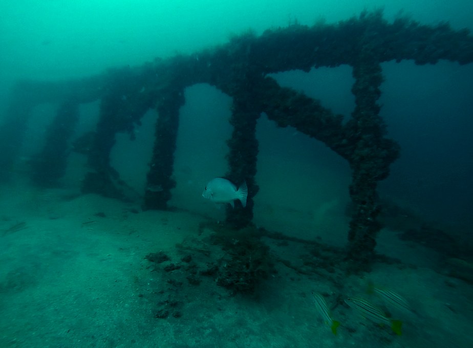 Dive Sites & Wrecks 40