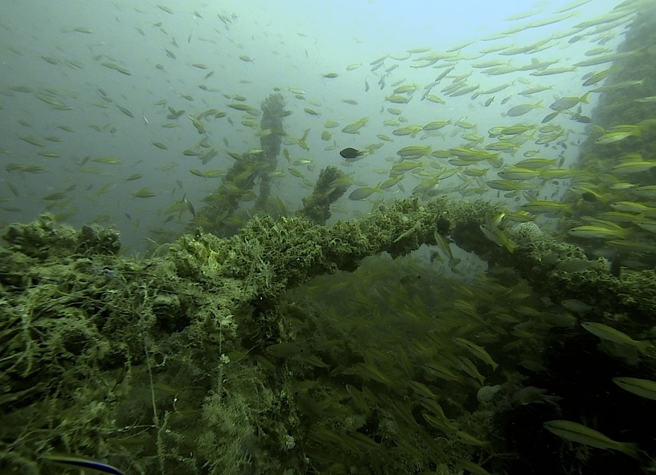 Dive Sites & Wrecks 41