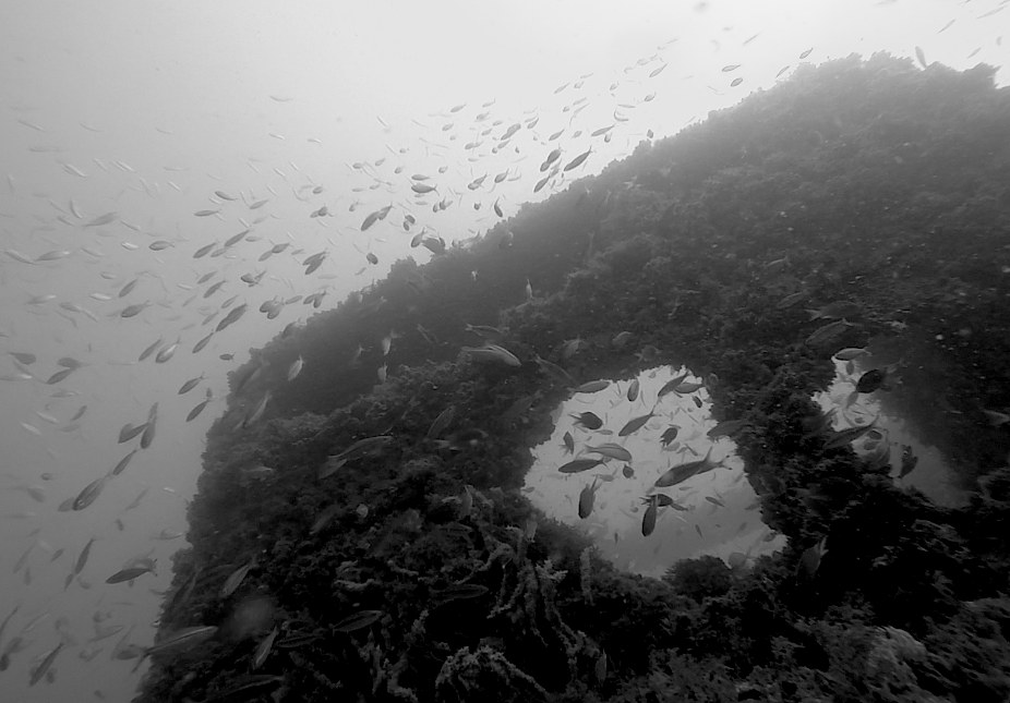 Dive Sites & Wrecks 42