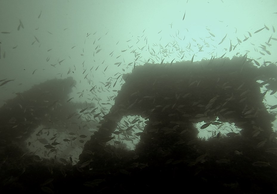 Dive Sites & Wrecks 45