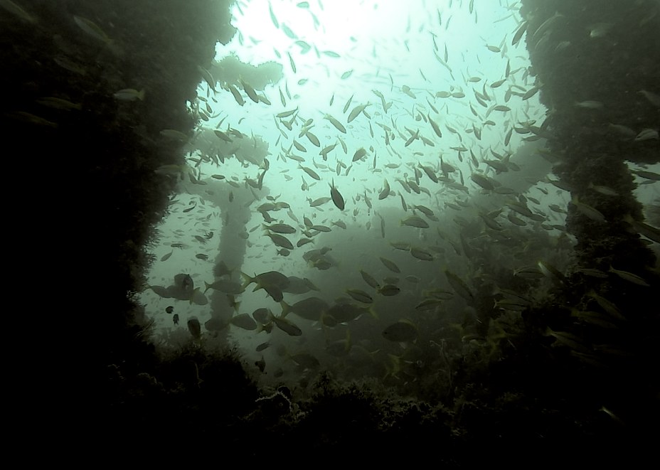 Dive Sites & Wrecks 46
