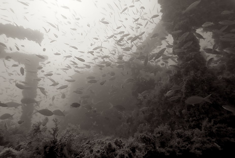 Dive Sites & Wrecks 47