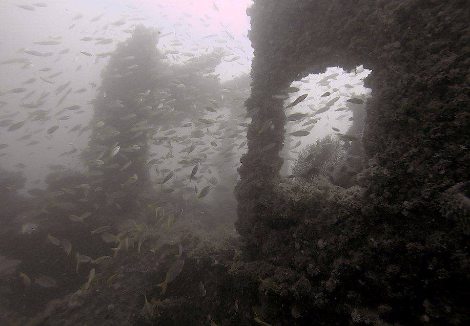 Dive Sites & Wrecks 48