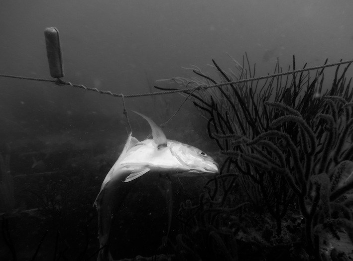 Dive Sites & Wrecks 54