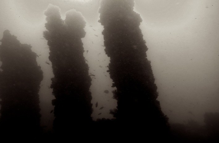 Dive Sites & Wrecks 55