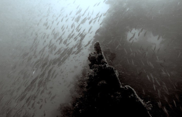 Dive Sites & Wrecks 60