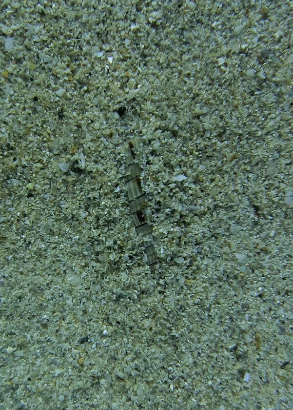 Dive Sites & Wrecks 64