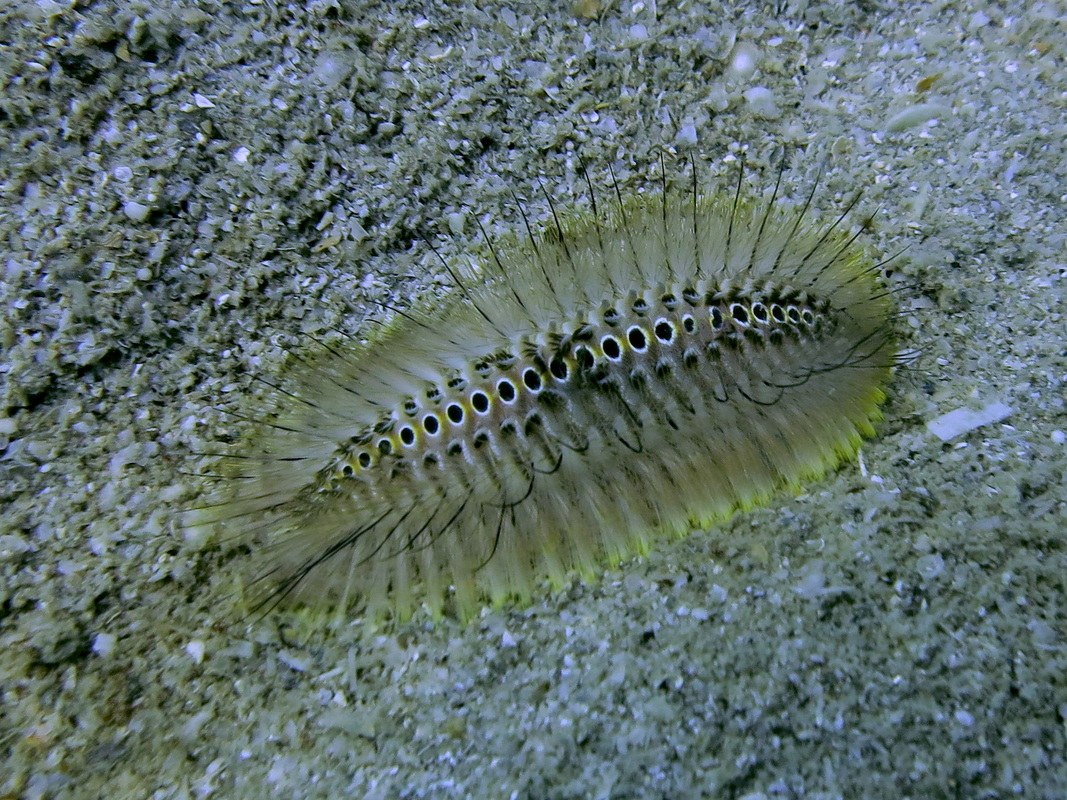 Dive Sites & Wrecks 70