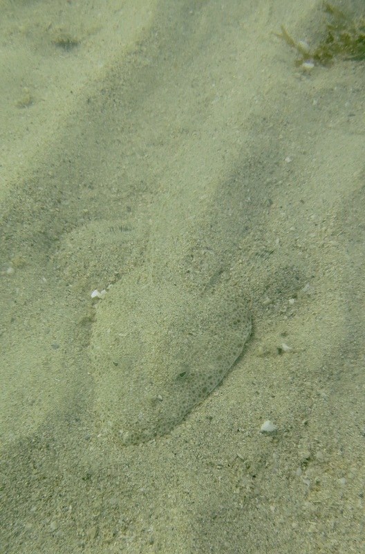 Dive Sites & Wrecks 72
