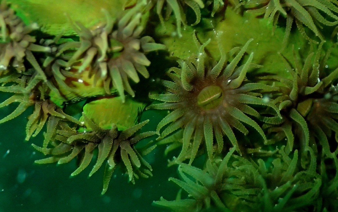 Dive Sites & Wrecks 80