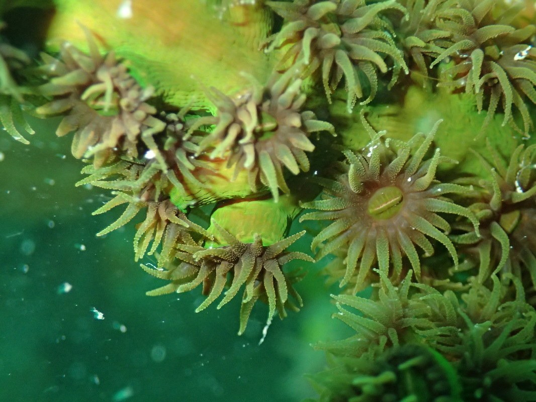 Dive Sites & Wrecks 81