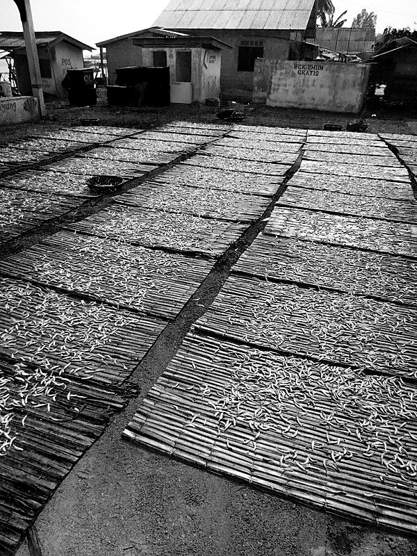 Fish laid out to dry on bamboo racks, village in the background
