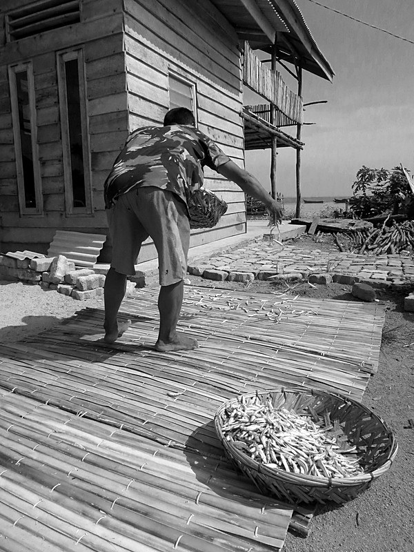 A man laying out ikan bilis to dry on bamboo mats beside a stilt house