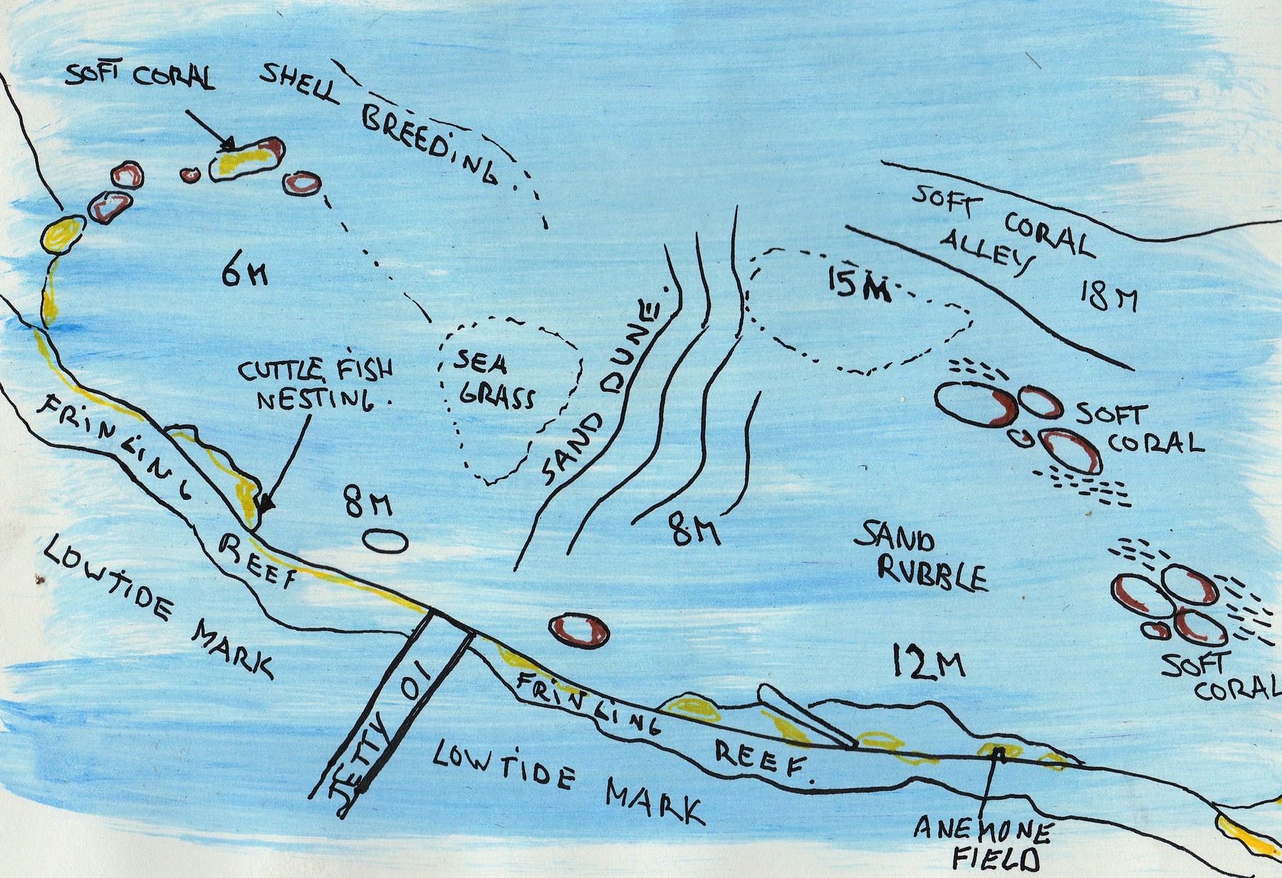 Hand-drawn dive map, Jetty 01, showing cuttlefish nesting and sea grass
