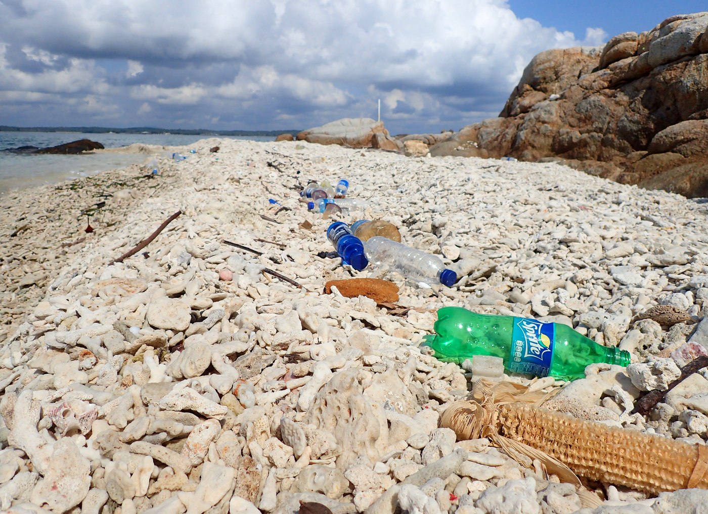 Plastic bottles and a corn husk washed up on coral rubble beach, Penyusuk