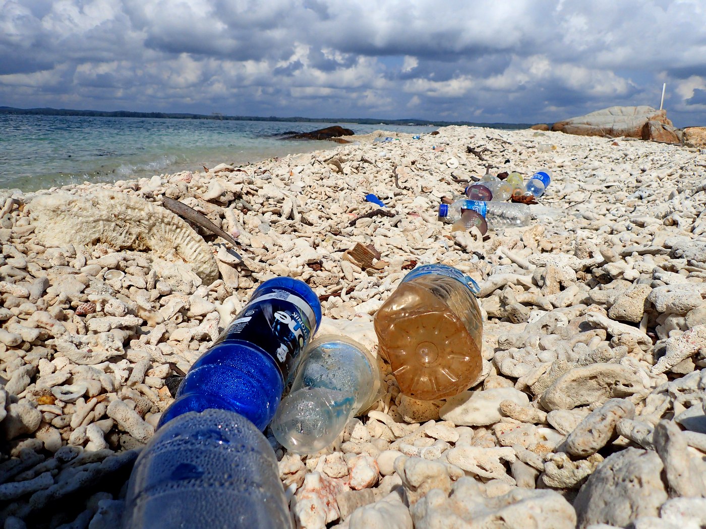 Plastic bottles on the beach, Penyusuk