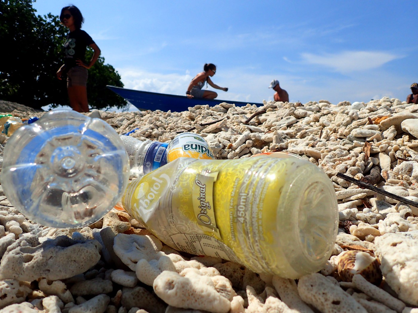 Bottles close among the coral rubble, Penyusuk