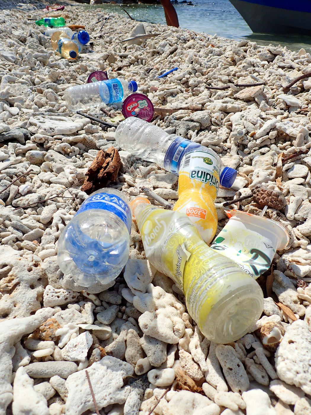 Plastic bottles scattered on the coral rubble, Penyusuk