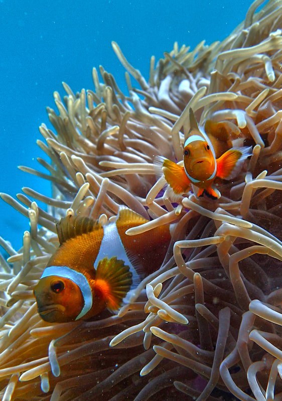 Below the Water Line