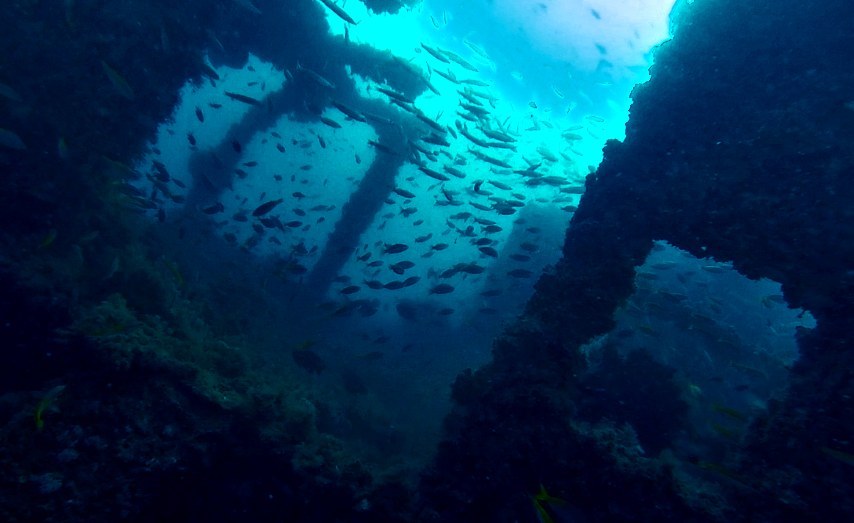 Dive Sites & Wrecks