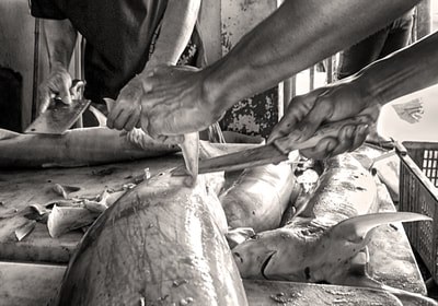 Shark market, Bintan