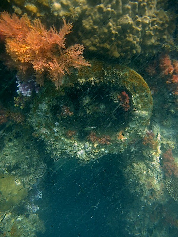 Coral-encrusted wreck debris