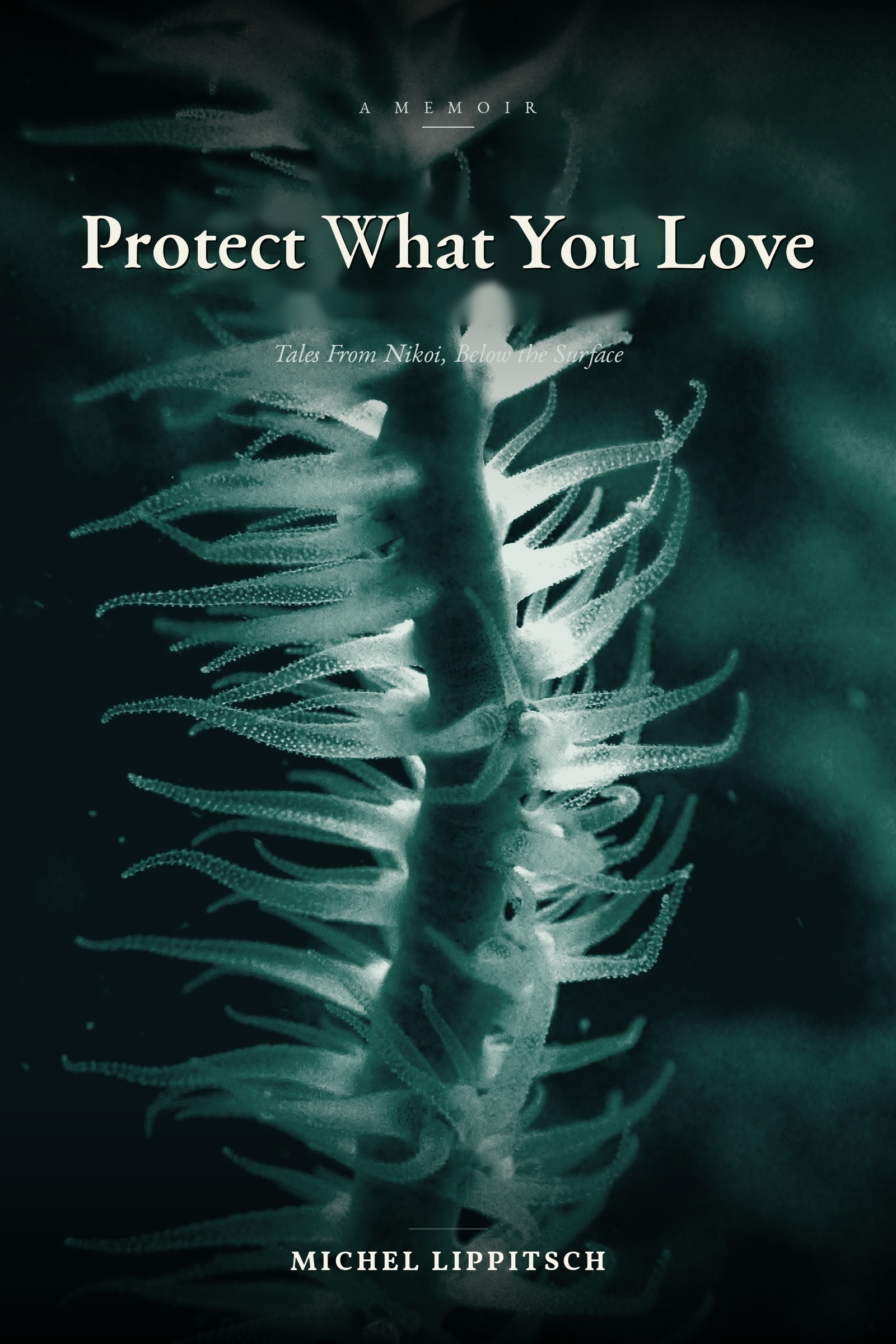 Protect What You Love, by Michel Lippitsch — book cover